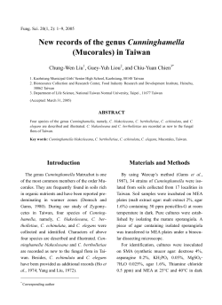 New records of the genus Cunninghamella