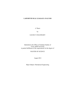 LABYRINTH SEAL LEAKAGE ANALYSIS A Thesis by GAURAV