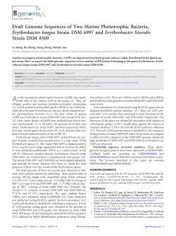 Draft Genome Sequences of Two Marine Phototrophic Bacteria