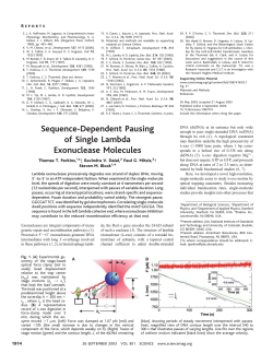 Sequence-Dependent Pausing of Single Lambda Exonuclease