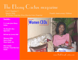 March 2006 - The Ebony Cactus