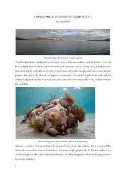 chinese mutton-fishers of maria island