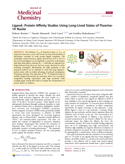 Ligand&ndash;Protein Affinity Studies Using Long