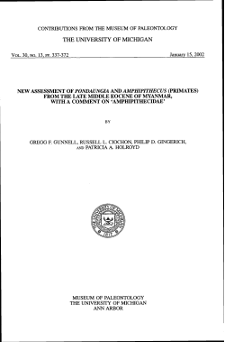 Pondaungia - Deep Blue - University of Michigan