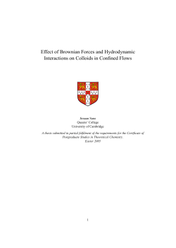 Effect of Brownian Forces and Hydrodynamic