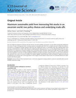 Maximum sustainable yield from interacting fish stocks in an