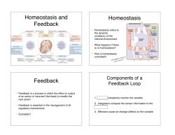 Homeostasis GRID - Penguin Prof Pages