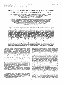 Description of Bacillus themzoaerophilus sp. nov., To Include Sugar