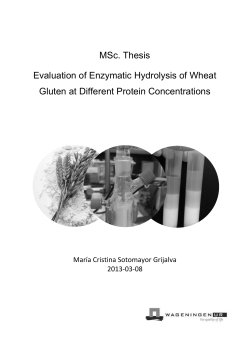 MSc. Thesis Evaluation of Enzymatic Hydrolysis of Wheat Gluten at