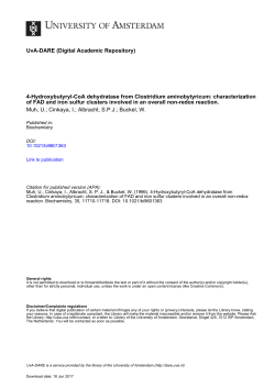 4-Hydroxybutyryl-CoA dehydratase from Clostridium - UvA-DARE