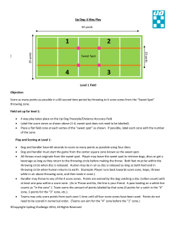 Up Dog 4 Way Play Field and Rules V4
