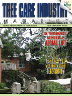 Plant Galls - Tree Care Industry (TCI) Magazine
