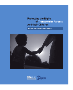 Protecting the Rights of Transgender Parents And their