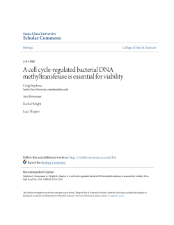 A cell cycle-regulated bacterial DNA methyltransferase is essential