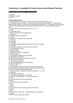 Coteaching - Investigative Primary Science with Student Teachers