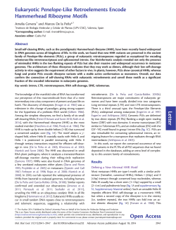 Eukaryotic Penelope-Like Retroelements Encode Hammerhead