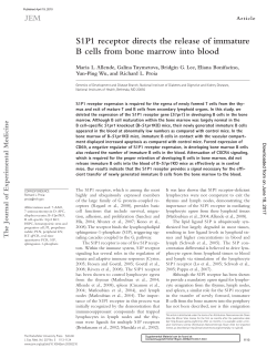 S1P1 receptor directs the release of immature B cells from bone