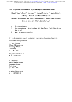 Adaptation of mammalian myosin II sequences to body mass