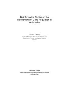 Bioinformatics Studies on the Mechanisms of Gene Regulation in