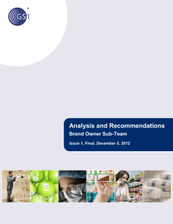 Analysis and Recommendations Brand Owner Sub-Team