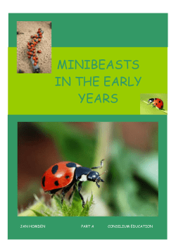 MiniBeasts in the Early Years