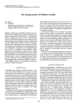 The mating system of Phellinus tremulae