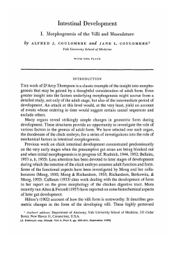 Intestinal Development