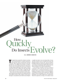 How Qu&Auml;&plusmn;ckly Do Insects Evolve?