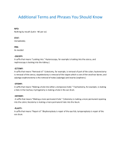 Additional Terms and Phrases You Should Know