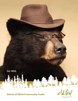 Elkford Community Profile