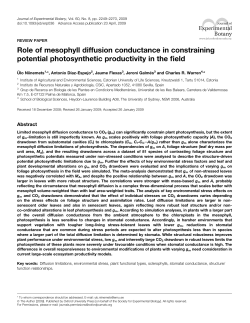 Role of mesophyll diffusion conductance in constraining potential