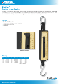 IronClad Straight Linear Scales
