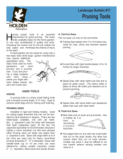 Pruning Tools - The Holden Arboretum