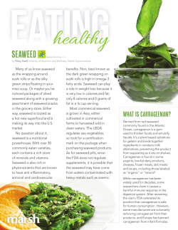 Seaweed - Marsh Supermarkets