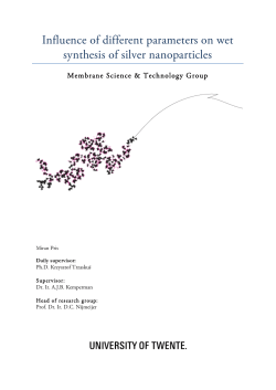 Influence of different parameters on wet synthesis of silver