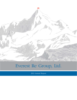 2013 Annual Report - Investor Relations Solutions