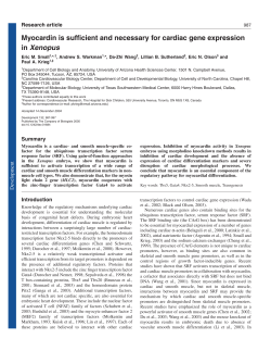 Myocardin is sufficient and necessary for cardiac gene expression in