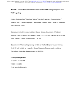 MicroRNA perturbation of the MRN complex buffers DNA