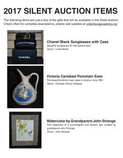 2017 silent auction items