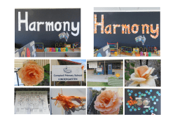 Kindy 3 Harmony - Campbell Primary School
