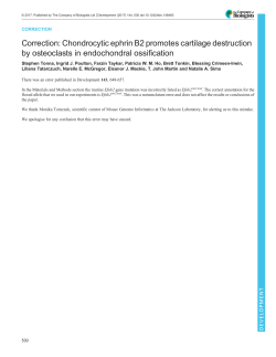 Chondrocytic ephrin B2 promotes cartilage