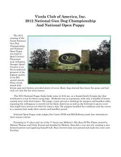 The 2012 National Puppy Stake at Quail Country Plantation broke