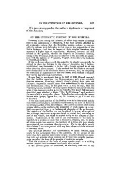 ON THE STRUCTURE OF THE ROTIFERA. 137 We have also