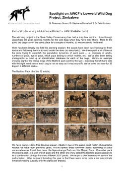AWCF WILD DOG PROJECT - Rufford Small Grants