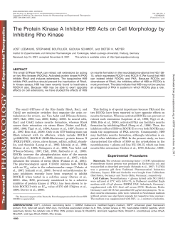 The Protein Kinase A Inhibitor H89 Acts on Cell Morphology by