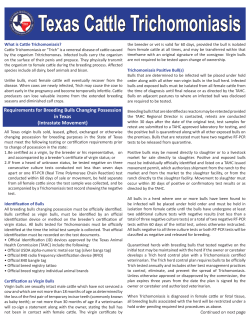 Texas Cattle Trichomoniasis