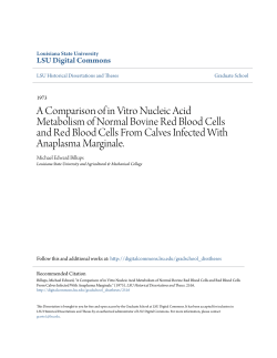 A Comparison of in Vitro Nucleic Acid Metabolism of Normal Bovine