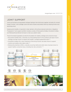 Joint Support | Information Sheet