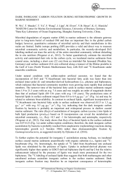 DARK INORGANIC CARBON FIXATION DURING