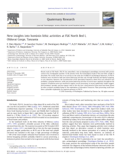 New insights into hominin lithic activities at FLK North Bed I, Olduvai